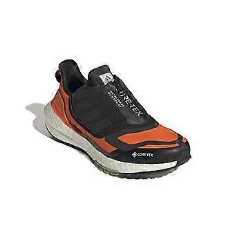Schuhe Adidas Ultraboost 22 Gtx GX9126