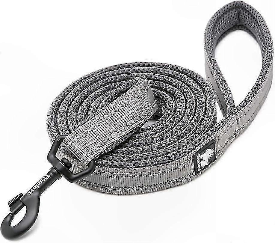 Reflective Nylon Dog Leash with Comfort Handle for Puppy Training and Walks, Suitable for All Breeds, 110cm Length