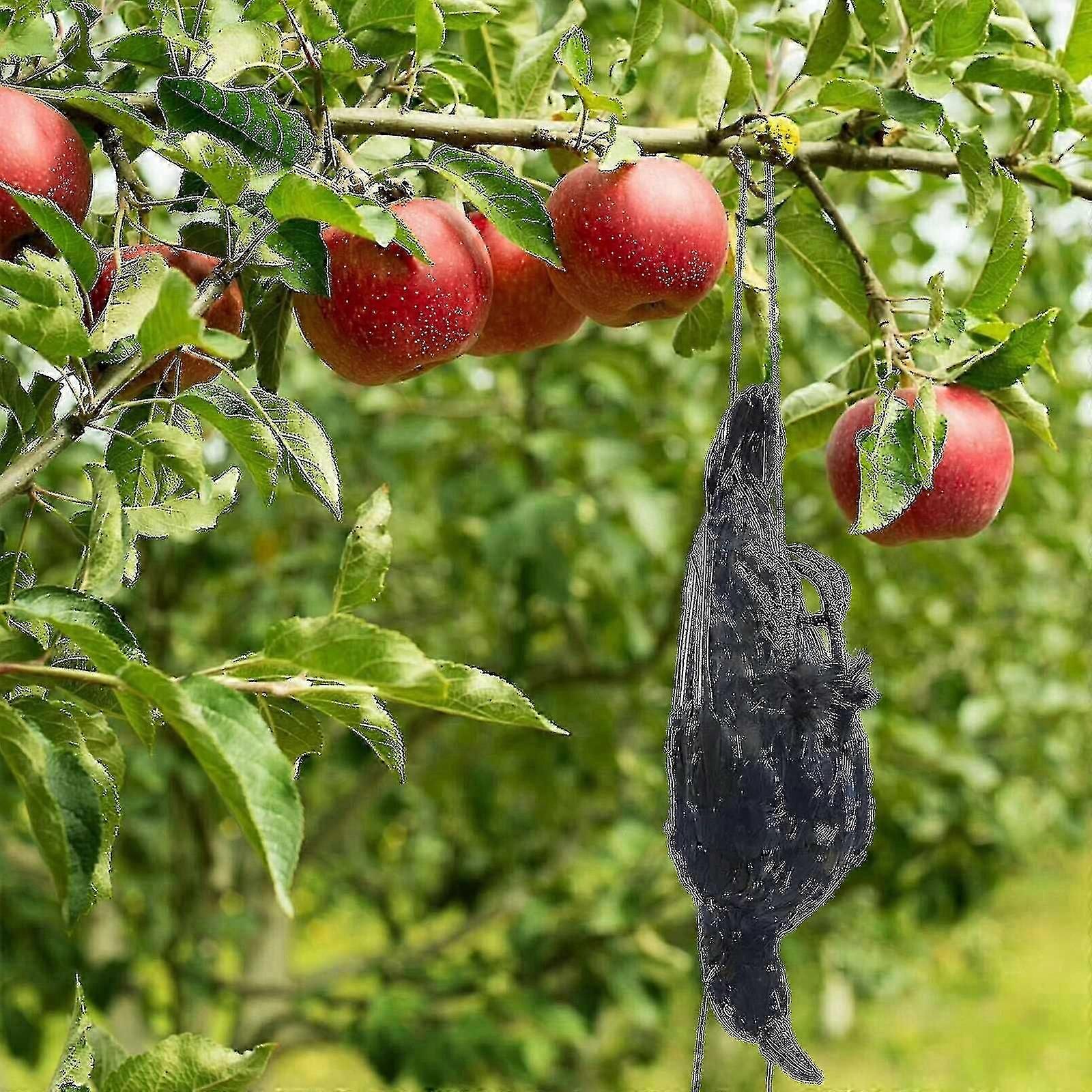 Realistic Hanging Dead Crow Decoy Lifesize Extra Black Feathered Crow Tw