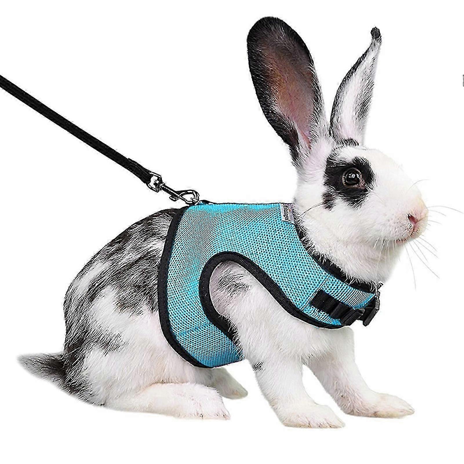 Rabbit Harness Comfortable Adjustable Traction Tool Ferret Rats Hamster Soft Mesh Harness Leash Vest Set Pet Supplies