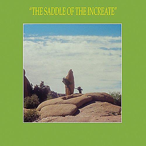 Sun Araw - The Saddle Of The Increate [CD]