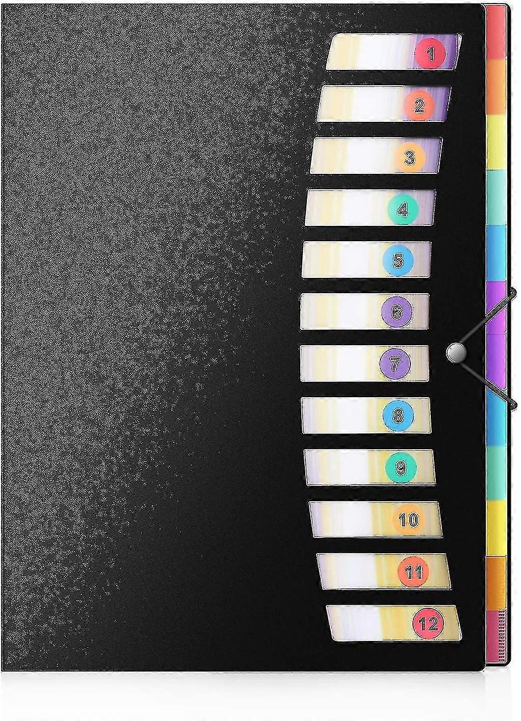 24 Pockets Poly Project Organizer Letter Size,expanding Project Sorter Heavy Duty Plastic Document Organizer,rainbow Accordion Folders A4 Hold 240shee