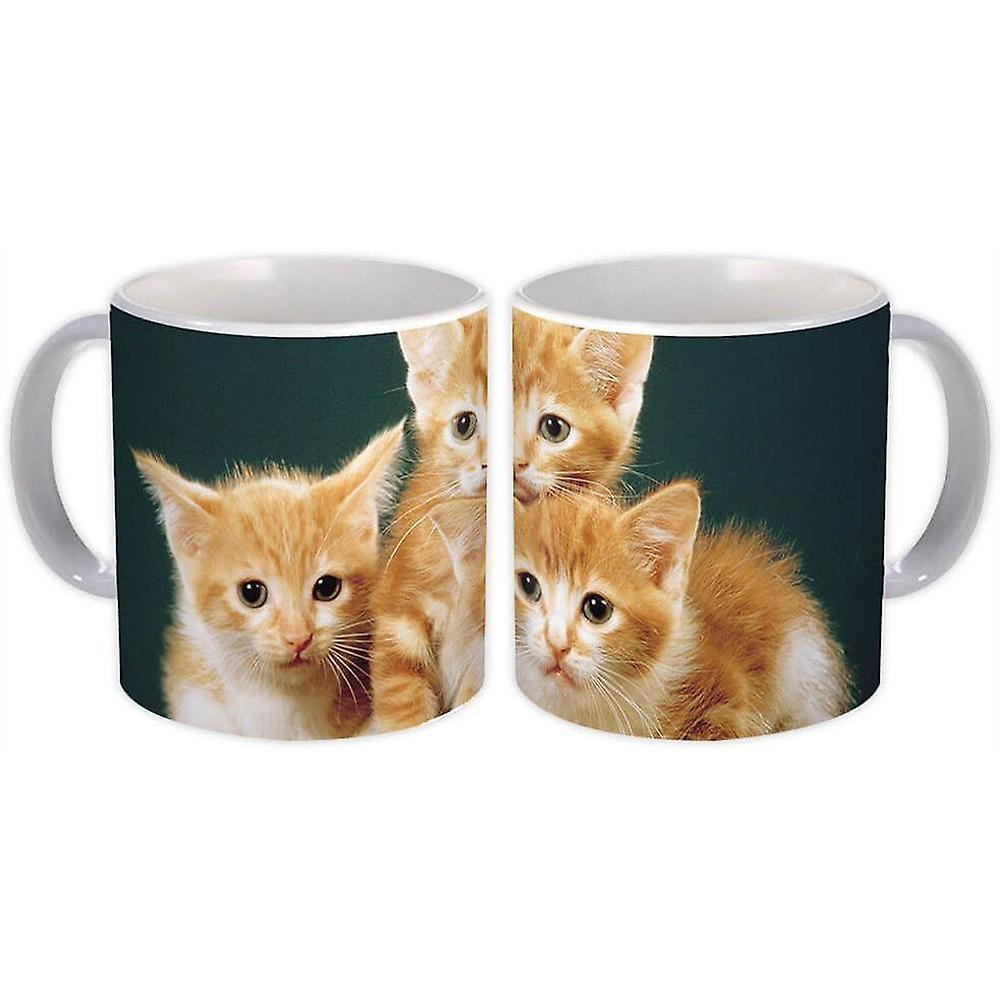 Mug cadeau: Cats Funny