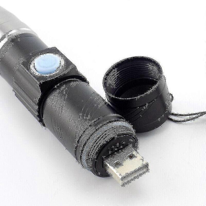 Usb Rechargeable 395nm Led Uv Flashlight Torch Light Ultra Violet Lamp Blacklight