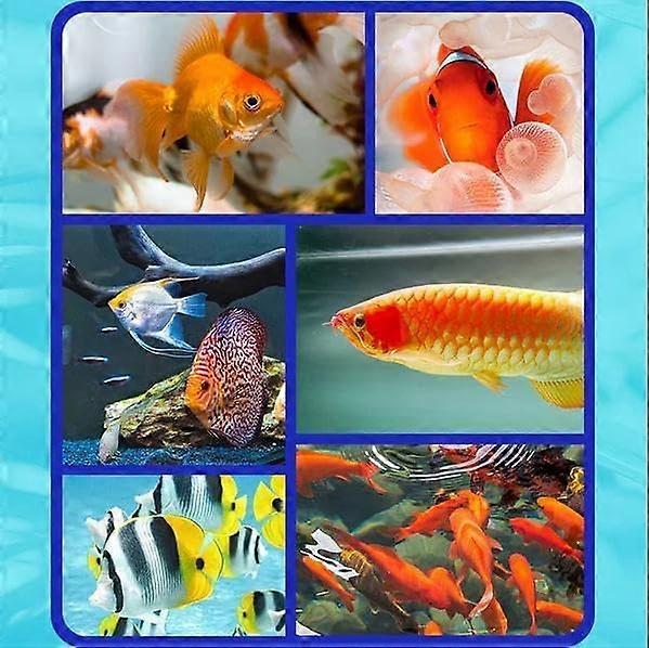 FM-001-004 Fish Tank Water Purifier Algae Remover, 300ML FM