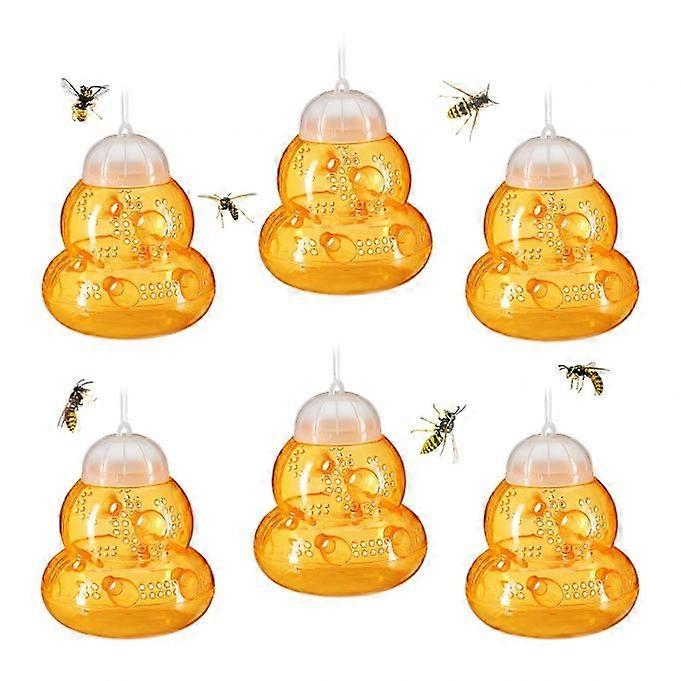 Piège à insectes 6 pcs