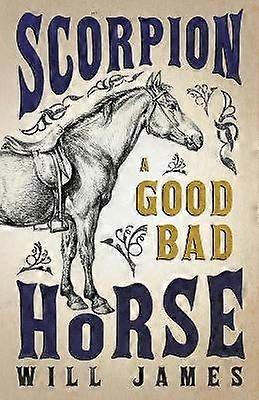 Scorpion  A Good Bad Horse