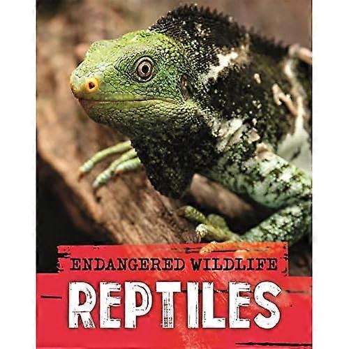 Endangered Wildlife: Rescuing Reptiles