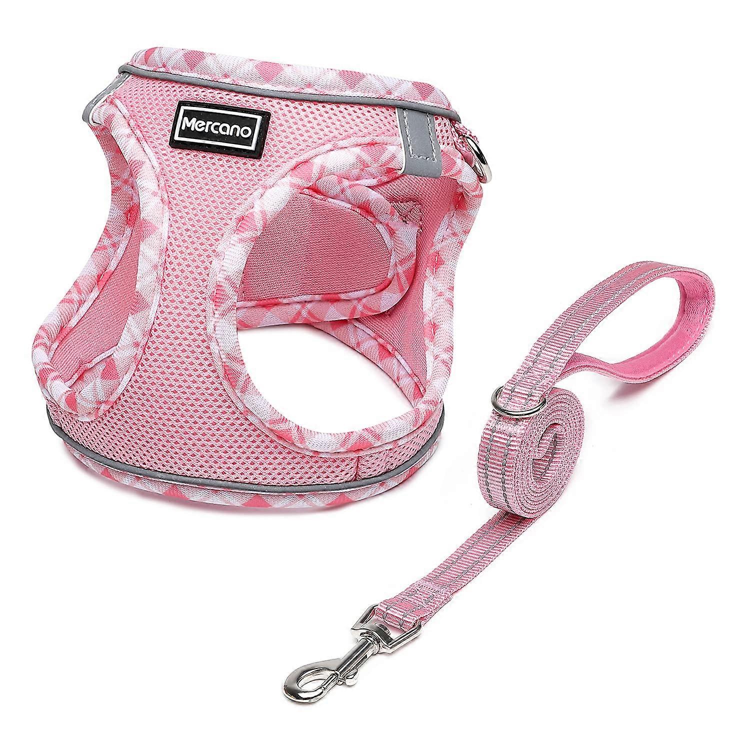 Soft Mesh No-Chock Reflective Breathable Easy Walk Dog Harness and Leash Set for Small Dogs Size S