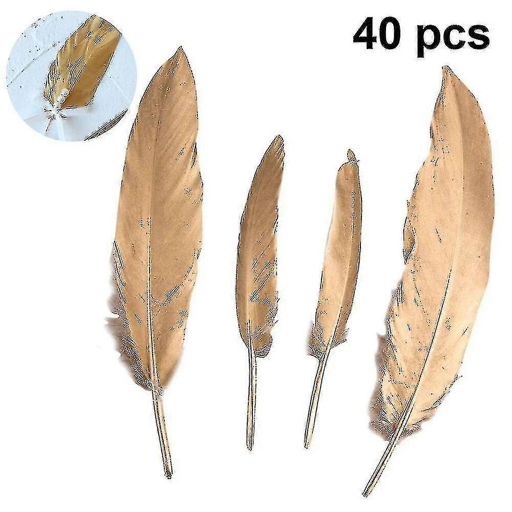 Gold Tipped White Feathers, 40 Pcs Natural Goose Feathers Fairy Crafts