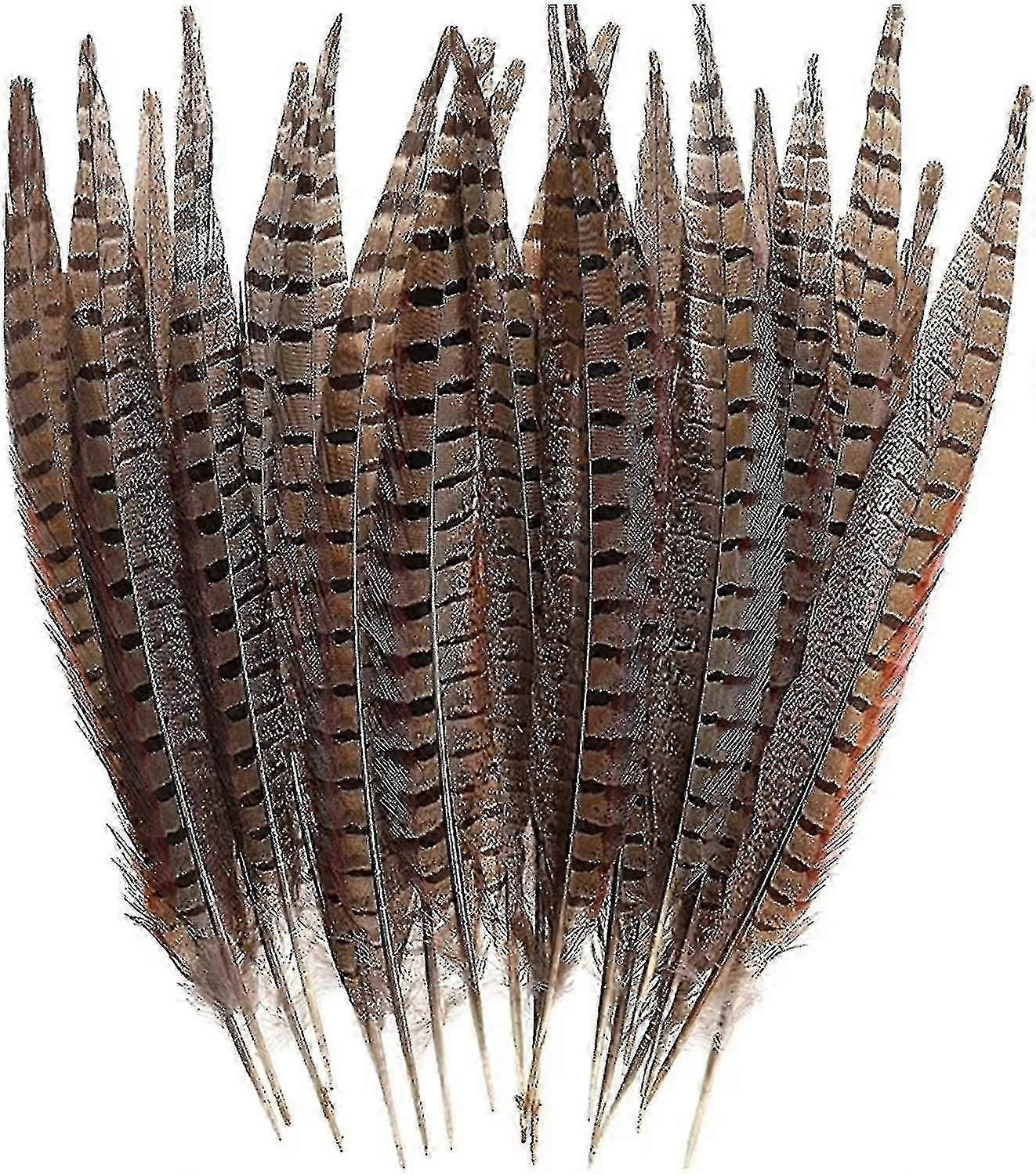 30 Pcs Natural Pheasant Feathers,diy Pheasant Tails Feather,15-28 Cm Soft Native Plume For Hair Hats Crafts Party Decoration ,natural Color-dwdz