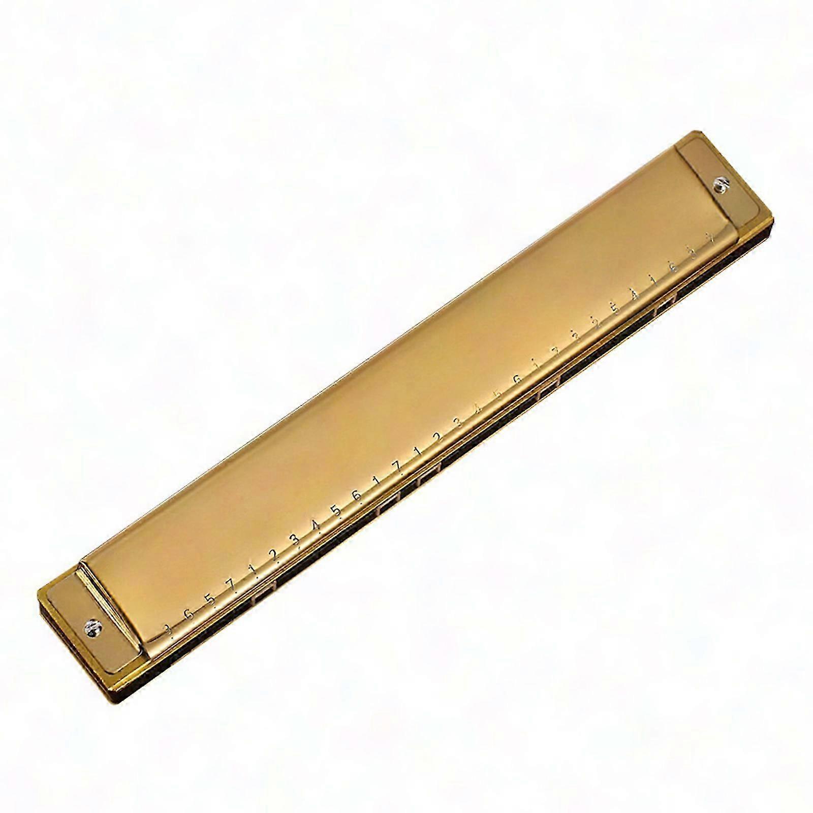 Professional 28-Hole Polyphonic C Harmonica with Case for Beginners, Students, and Musicians - Perfect Gift