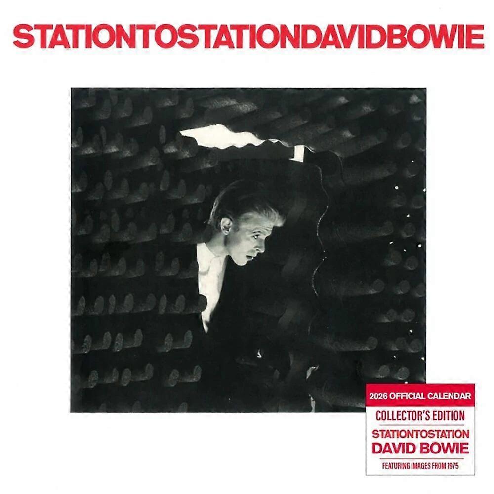 Danilo David Bowie Calendar 2026 Record Sleeve