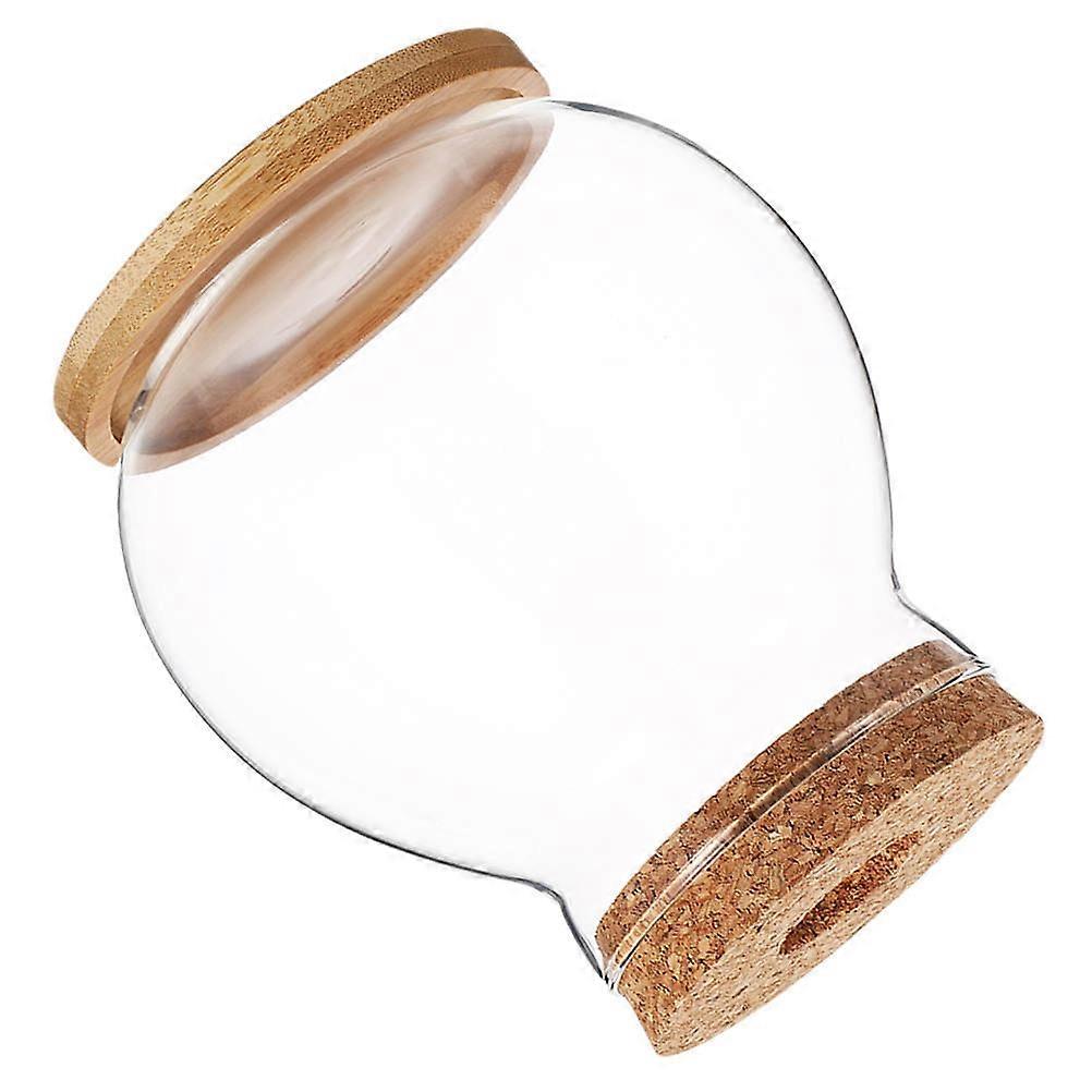 Hydroponic Glass Fish Tank with Lid for Betta Fish Transparent