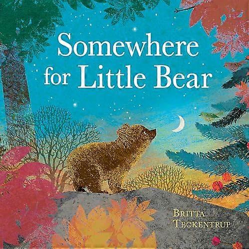 Somewhere for Little Bear