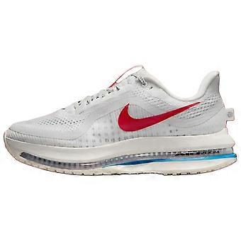 Nike Pegasus Premium Andningsbara Halkfria Slitstarka Låga Sneakers Casual Långdistanslöpning Sprint IH7347-111
