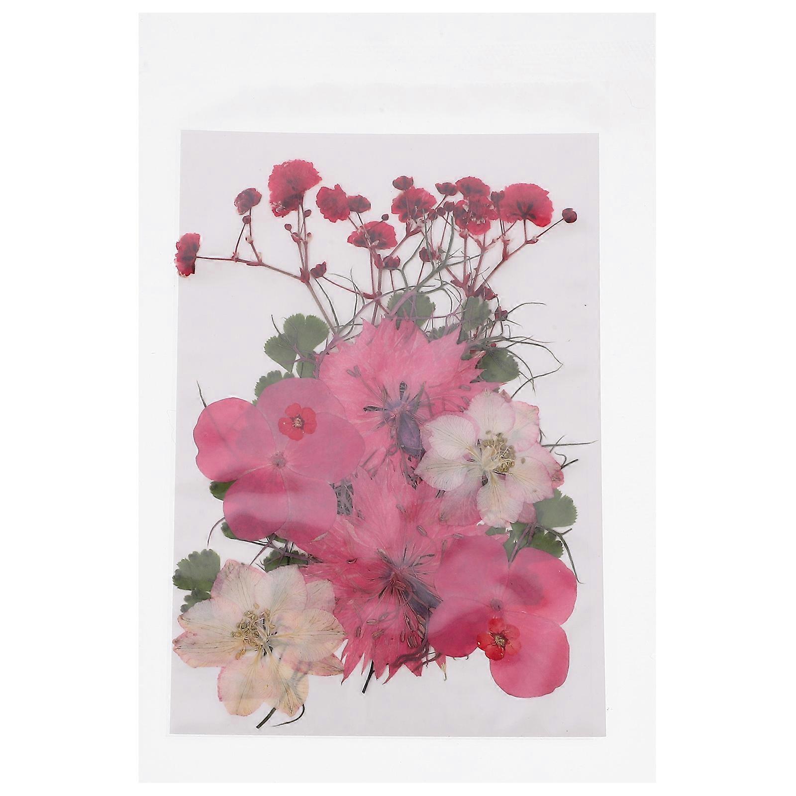Dry Flowers Diy Multiple Dried Flowers Craft Supplies Assorted Color for Epoxy Craft 30Pcs