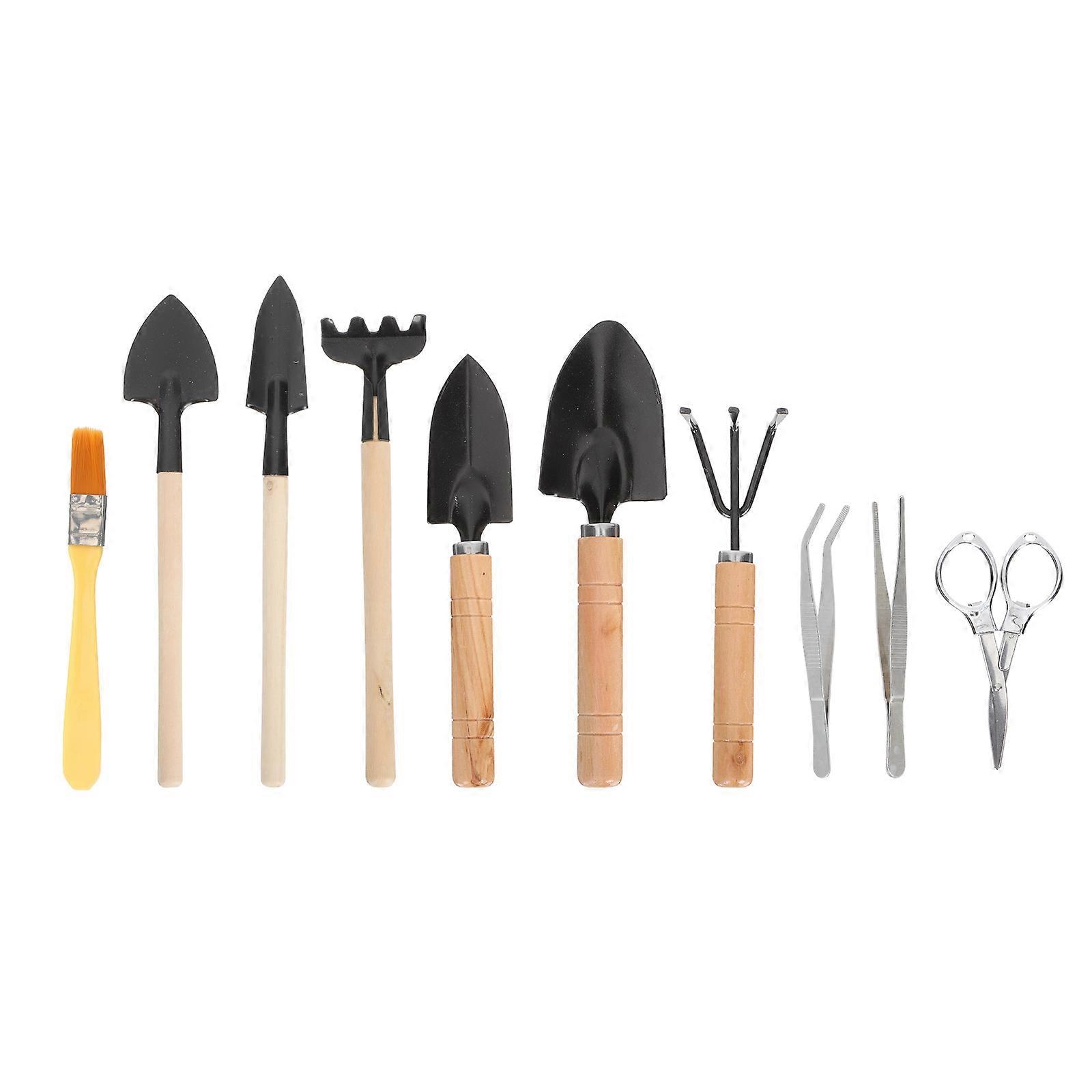 Succulent Planting Tools Bonsai Tools for Gardening 10Pcs Kit