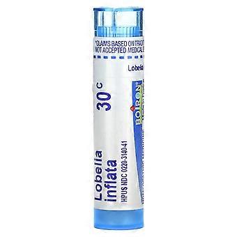 Boiron, Lobelia Inflata, 30°C, aproximadamente 80 pellets