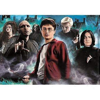 Harry Potter Puzzle Voldermort Snape Bellatrix Malfor Jigsaw Puzzle FBL-257