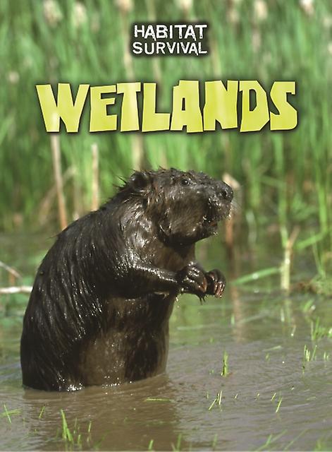 Wetlands by Buffy Silverman Paperback Book
