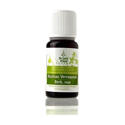 Organic Warty Birch Macerate 30 ml