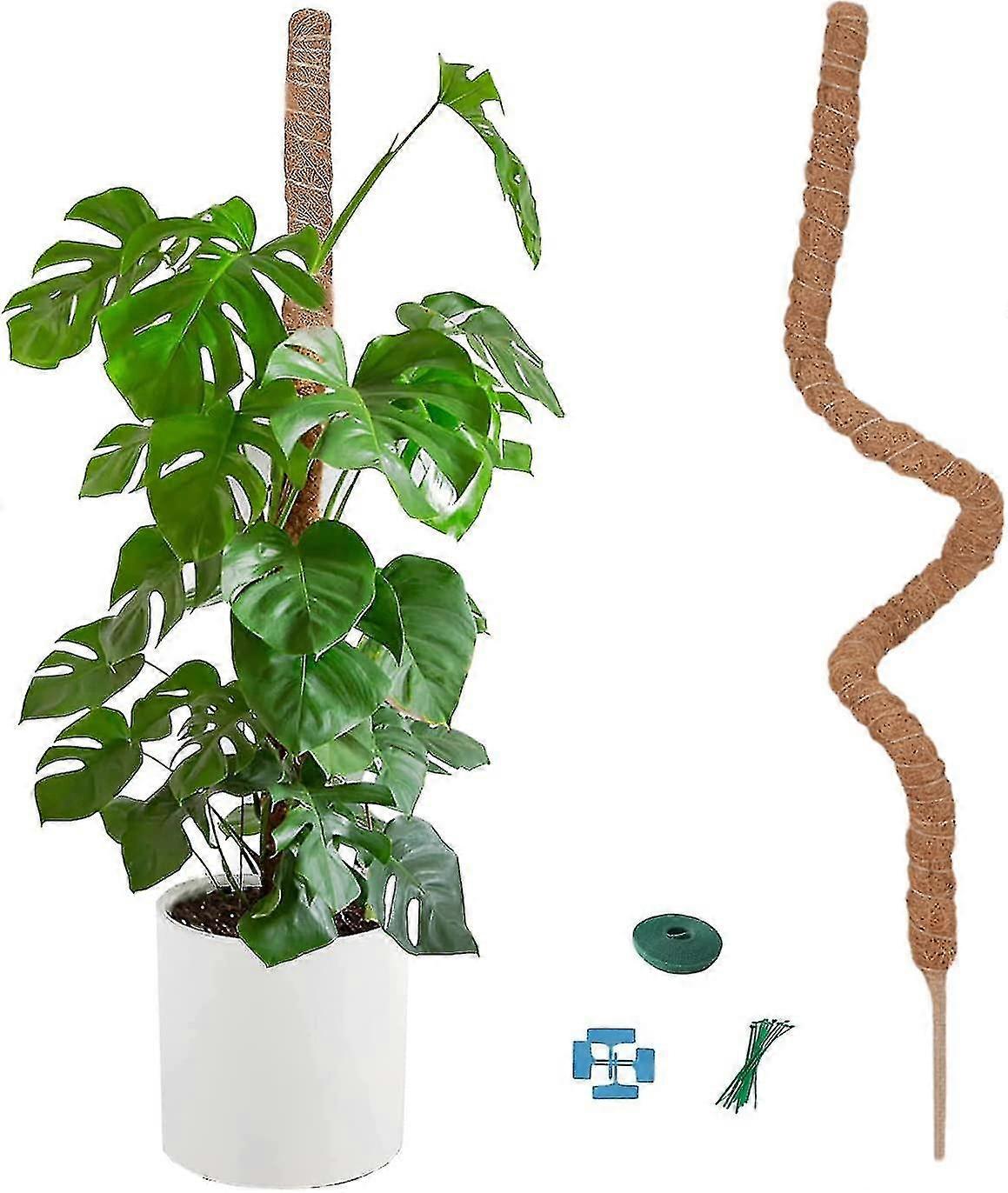 Moss Pole For Climbing Plants,monstera Moss Pole,moss Pole For Plants Monstera,coco Pole, Sphagnum Moss Pole,plant Moss Pole, Small And Large Moss Pol