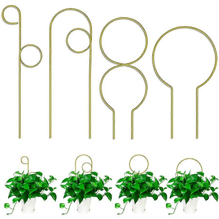 4-Piece Metal Support for Climbing and Trailing Plants