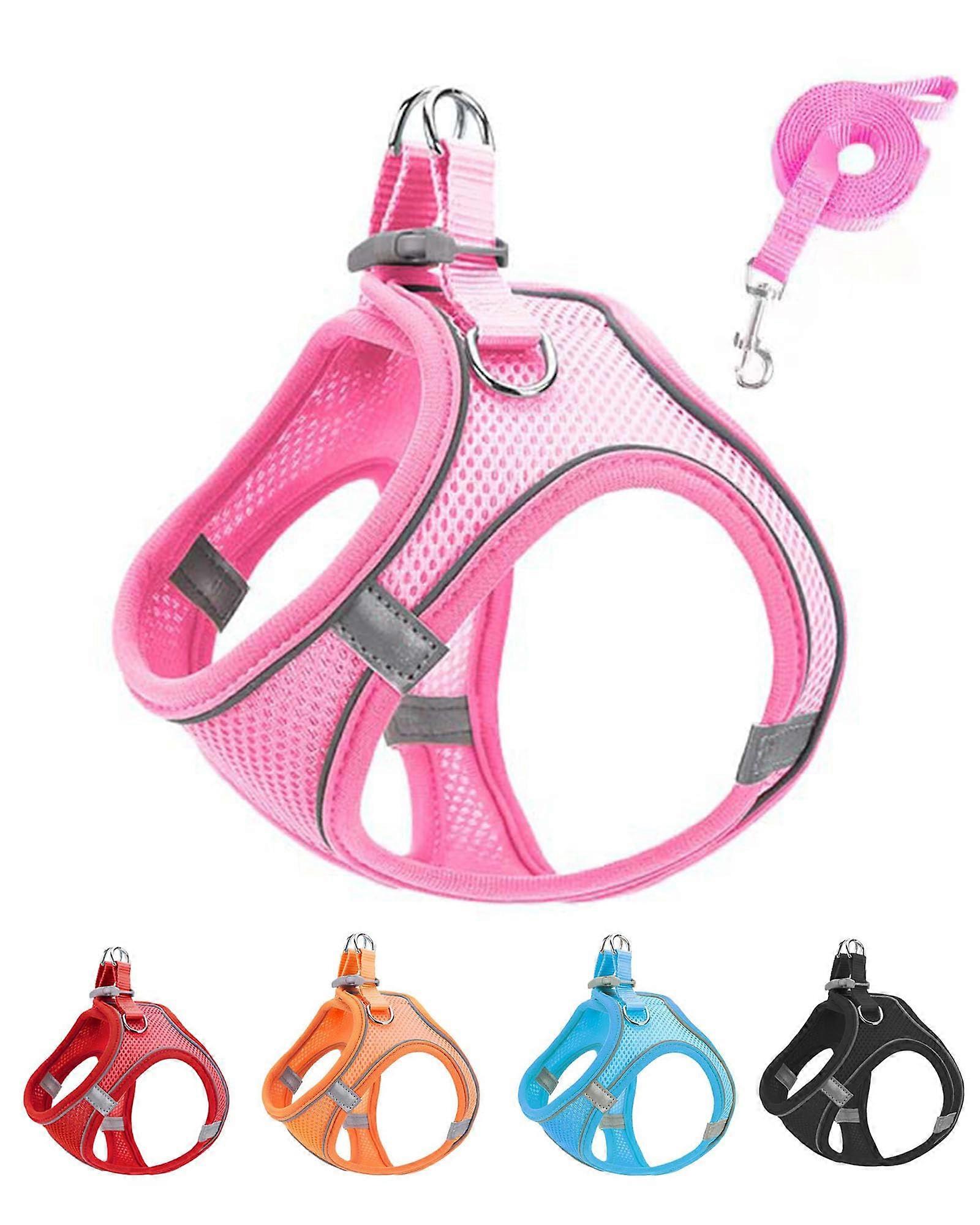Soft Mesh No Escape Easy Walk Reflective Adjustable Dog Harness and Leash Set for Training Walking XXXS