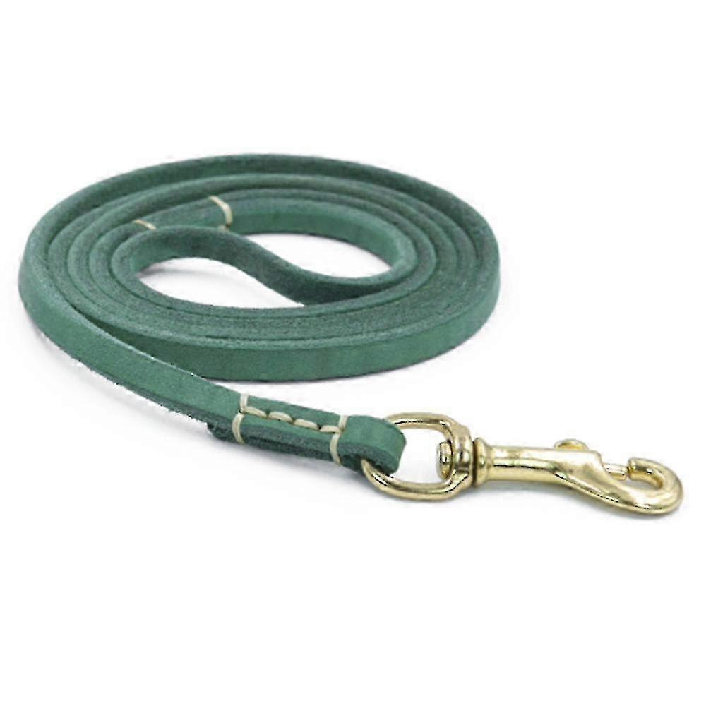 Leather Dog Leash - 5ft Training Lead, 1cm Width, Green