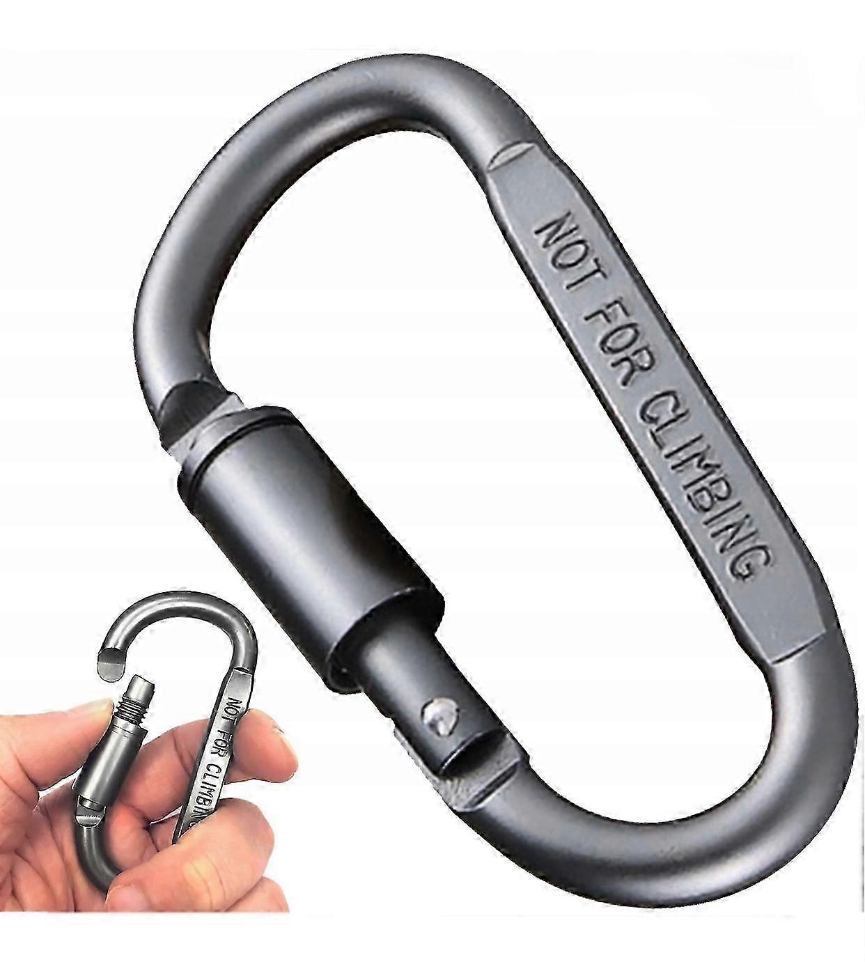 2025 Metal Snap Hook With Bag Keys