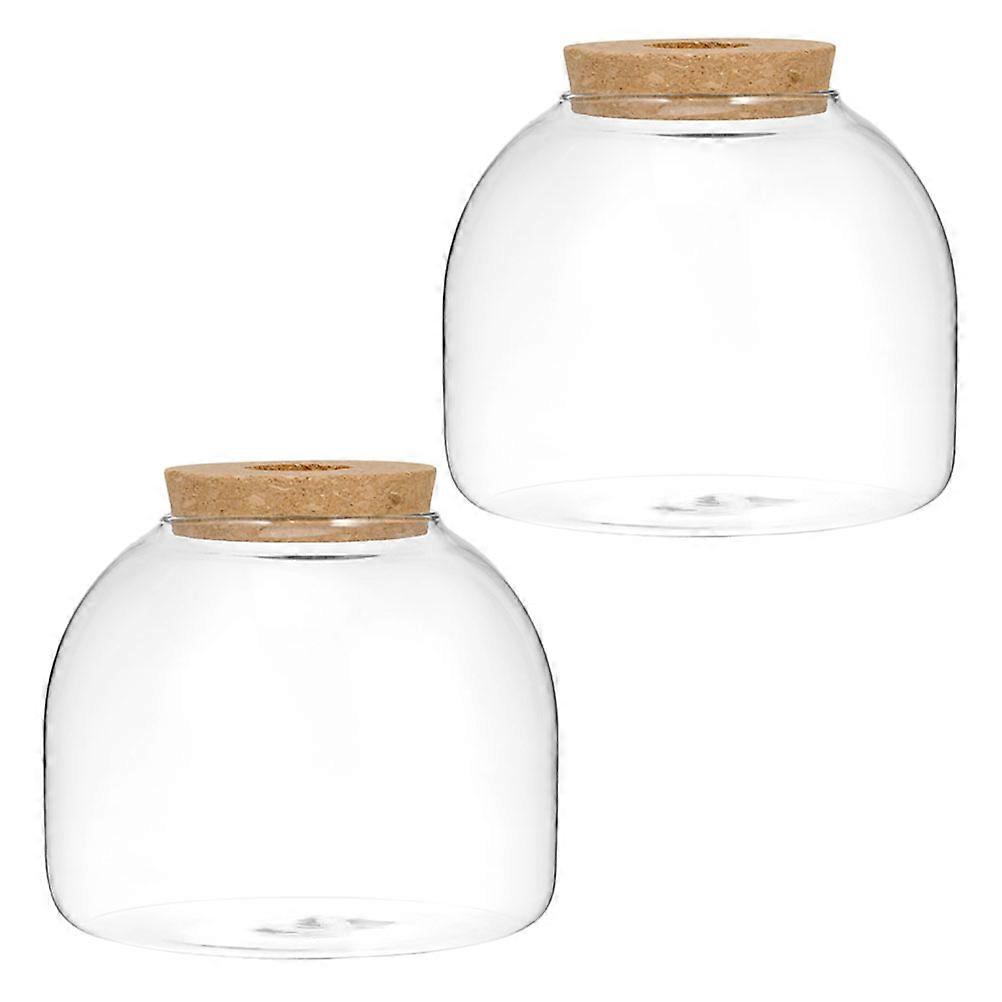 Landscape Bottle Micro Landscape Planter Bottle Home Decor Cylindrical Material 2Pcs