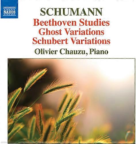 Schumann,Robert / Chauzu,Olivier - Beethoven Studies Ghost Variations & Schubert Variations  [COMPACT DISCS] USA import