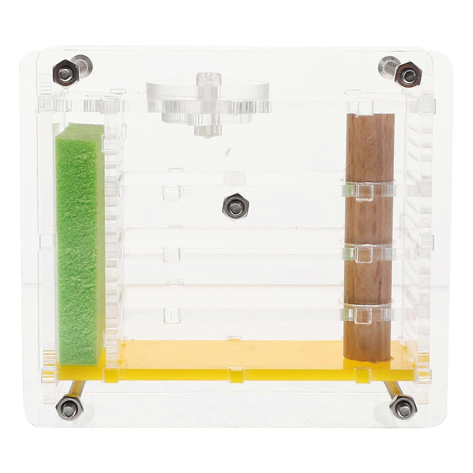 Acrylic Ant Nest Observation Box for Science Experiments – Moisturized Habitat for Ant Climbing and Educational Study