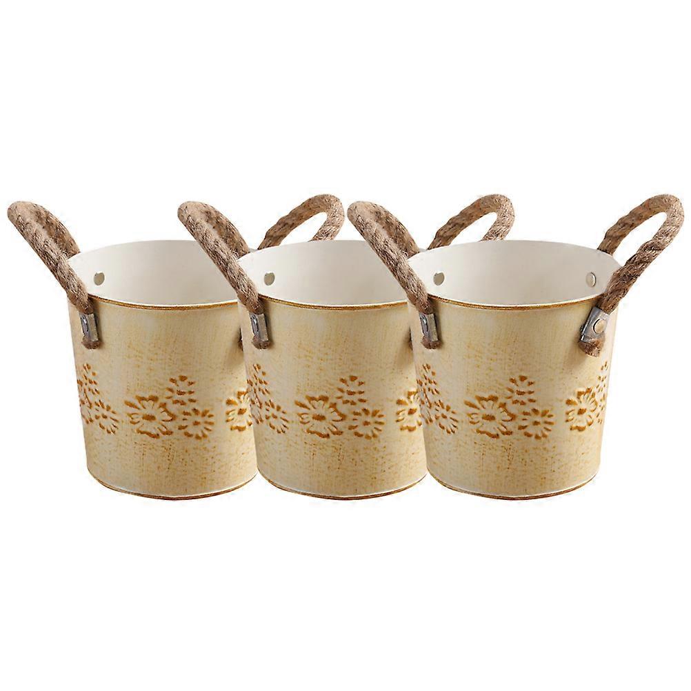 Decorative Flower Bucket in Style for Dried Flower Storage Iron Material 3.9×3.9×3.7in 3Pcs