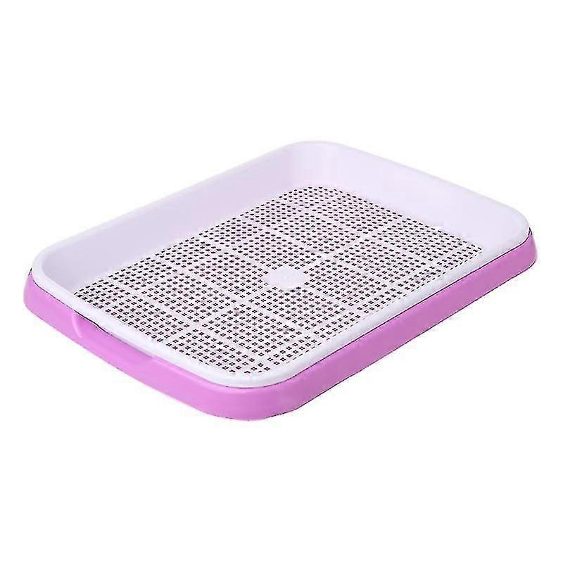 Purple Hydroponic Seed Starter Tray - Nursery Germination System