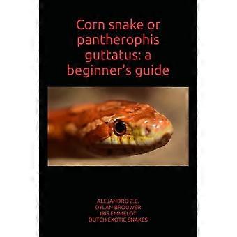 Majsorm eller pantherophis guttatus: en nybörjarguide