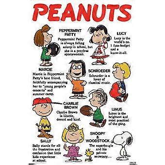 PEANUTS: PERSISTÊNCIA - GRUPO Quebra-cabeças de madeira - 26447 -A1562