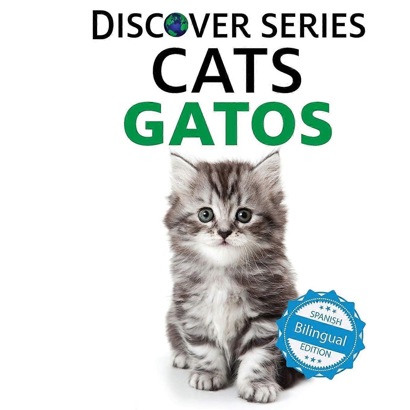 Cats gatos
