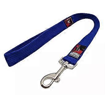 BlackDog Wear Strong Lead Short (0.5 Metre) - Stainless Steel BLUE