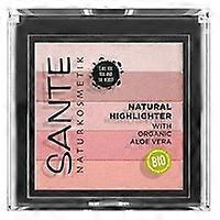 Powder illuminator 5 shades 02 1 unit