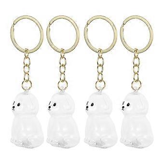 Pet Hair Memorial Box for Storage Use 4Pcs Transparent Keepsake Keychains