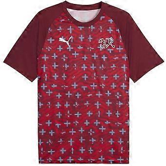 Puma Mens World Cup 2026 Switzerland FC Short-Sleeved Football Shirt