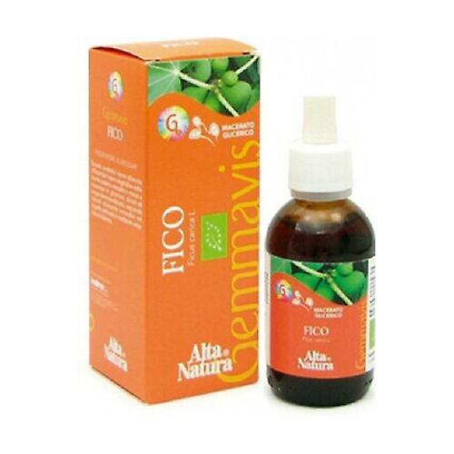 Lime Gemmavis Bio 50 ml