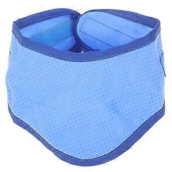 Cooling Pet Collar Summer Dog Neckerchief Creative Pet Neck Collar Pet Supplies For Dog Puppy (blue, Size L)