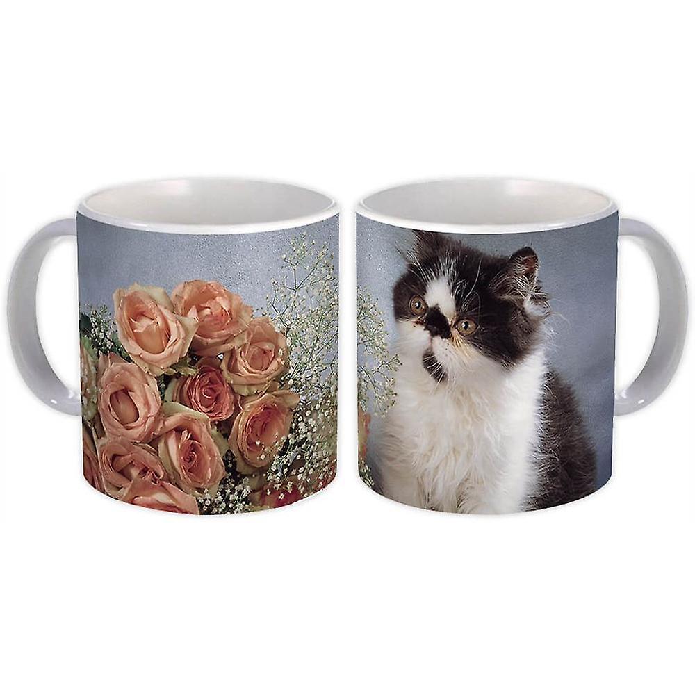 Hediye Kupa: Kedi Hayvan