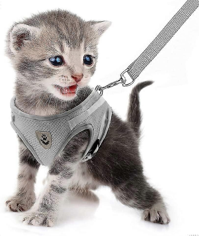 Soft Mesh Dog Harness And Leash,no Pull Adjustable With Reflective Strap