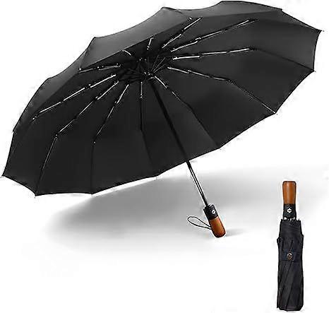 Windproof Umbrella Automatic Open & Close Ergonomic Handle,10 Ribs Travel Umbrella One Button Auto Open Close For Rain, Sun umbrellas Lightweight Port