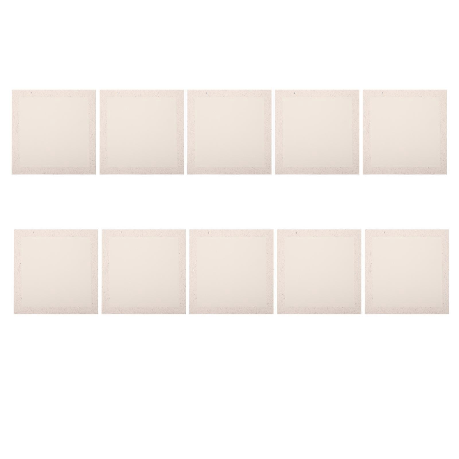 Chinese Calligraphy Xuan Paper Sheets For Traditional Chinese Painting Practice Hand-Painting Square 10Sheets