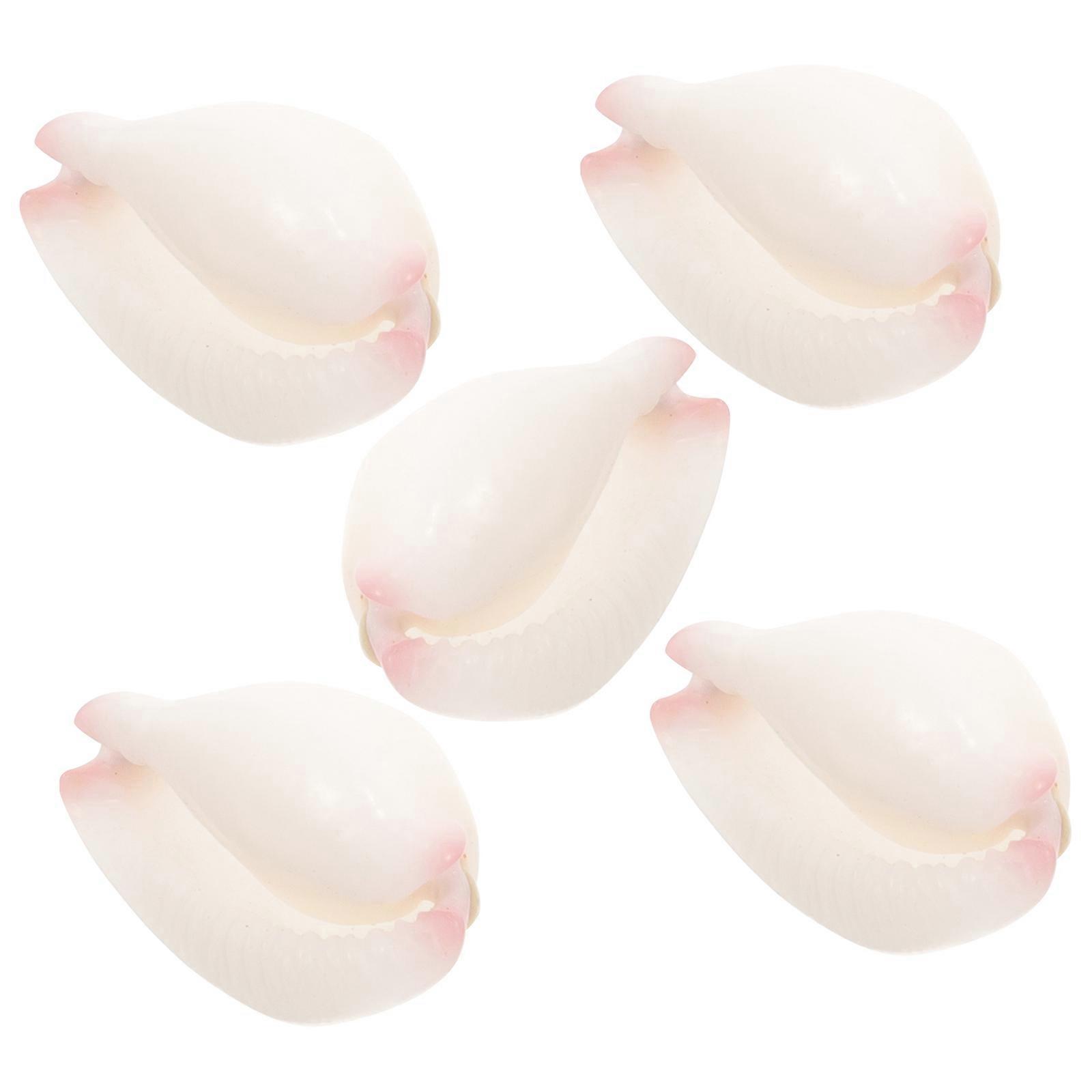 Beads For Crafting Diy Craft Material Seashell Decor Craft Projects Style 5Pcs